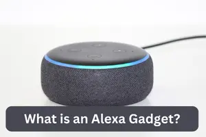 What is an Alexa Gadget? Types & Features Explained What is an Alexa Gadget?
